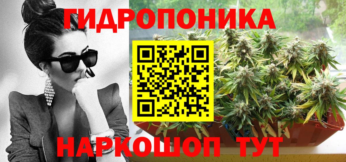 Шишки марихуана White Widow Осинники